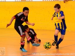 mini-Schlins-U9-Spiegl-DSC_1393